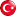 Türkçe